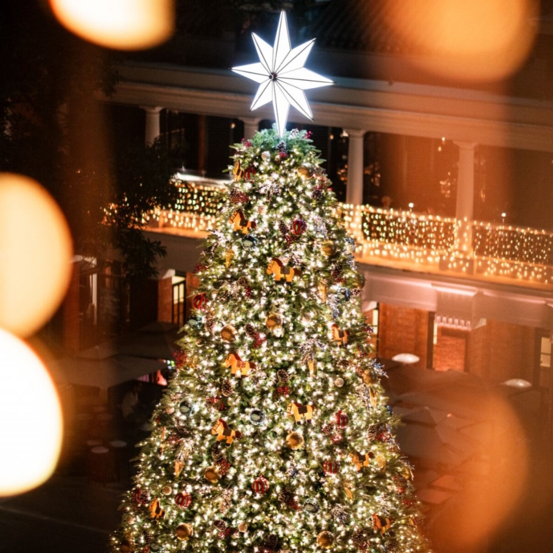 2025聖誕打卡地方