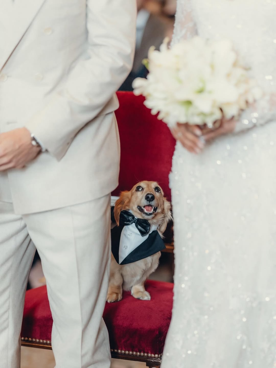 F1 法拉利男神Charles Leclerc 