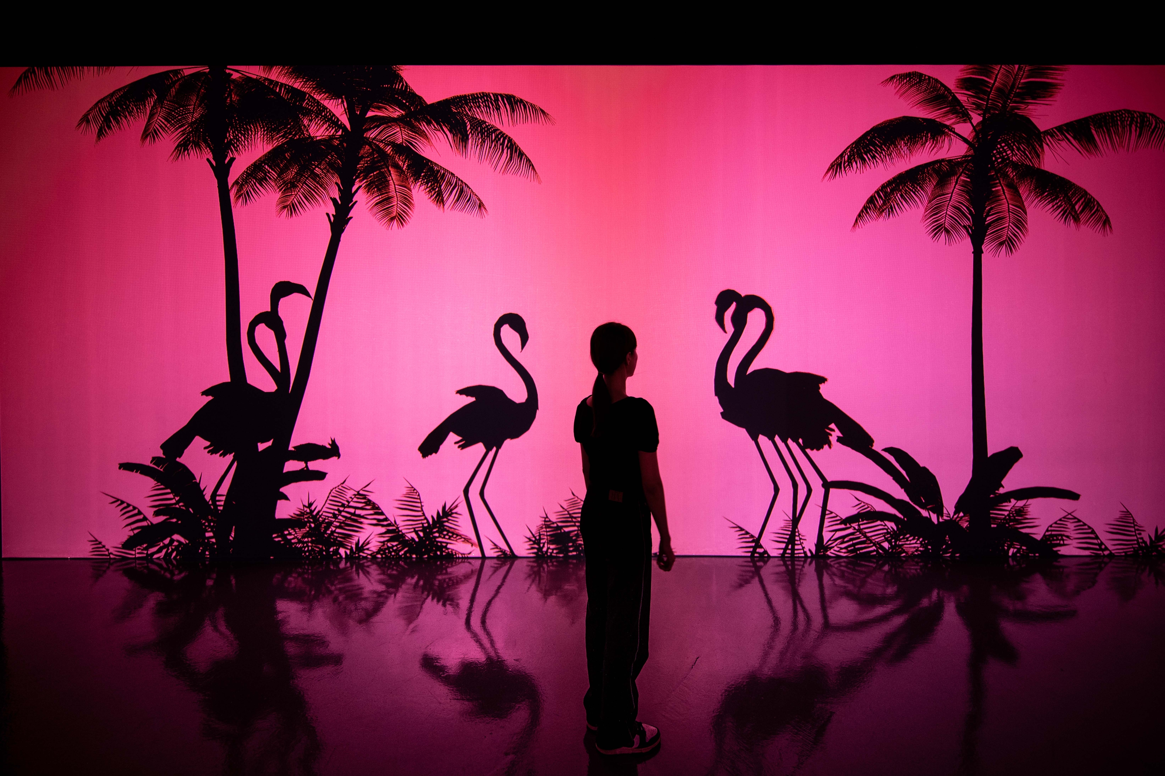 PINK LAGOON