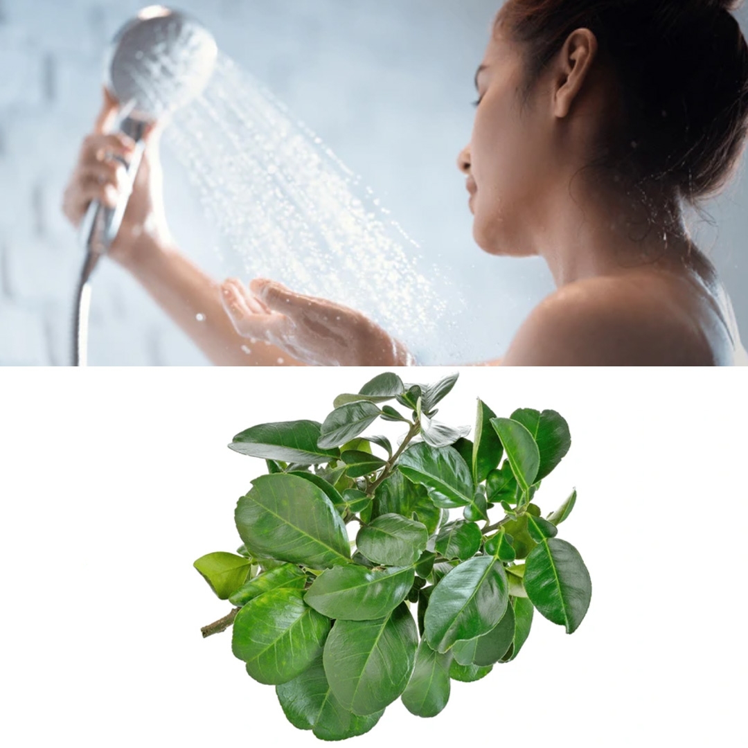 碌柚葉,沖涼,步驟