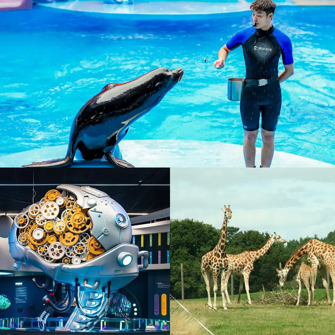 深圳親子好去處,室內,商場