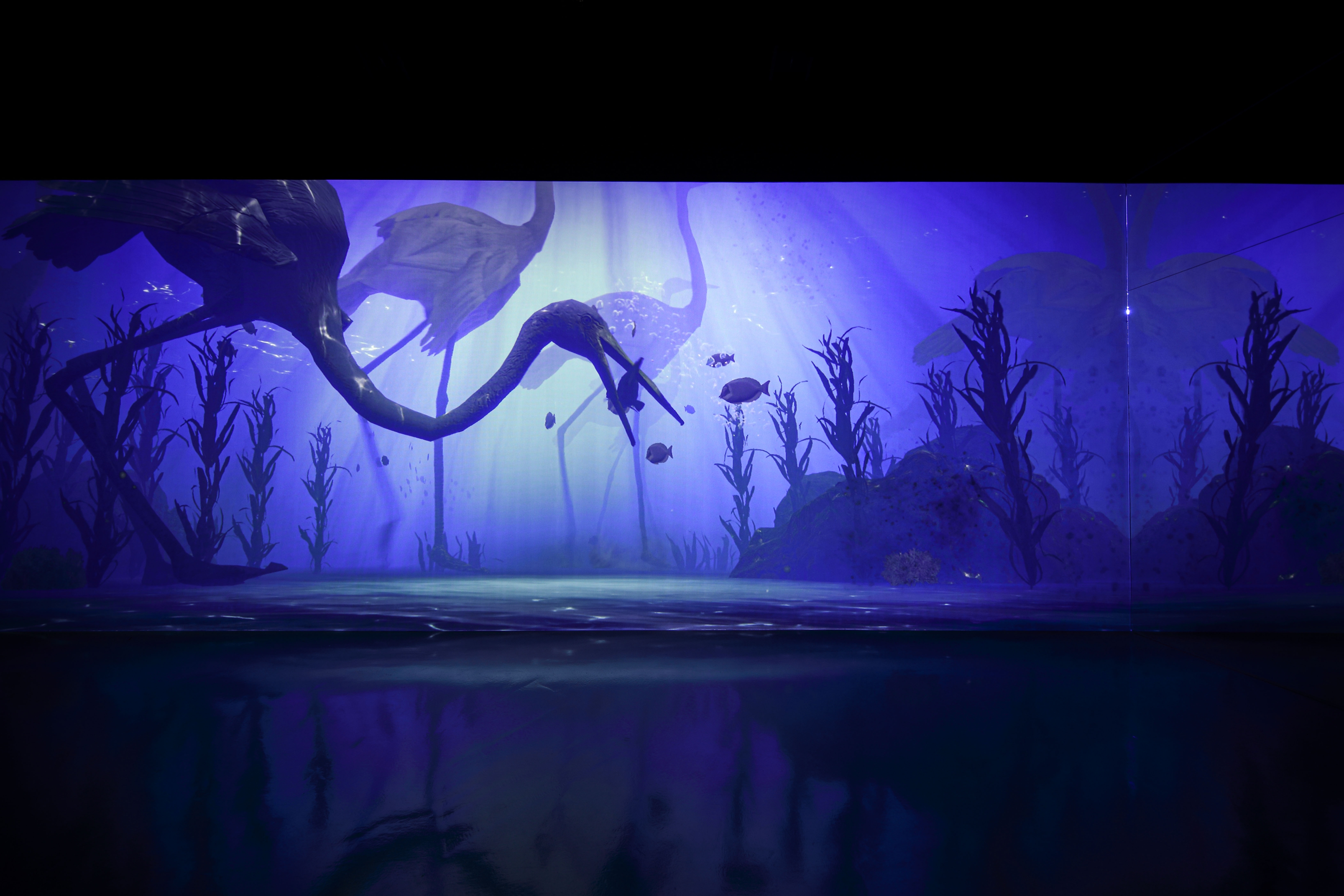 UNDERWATER