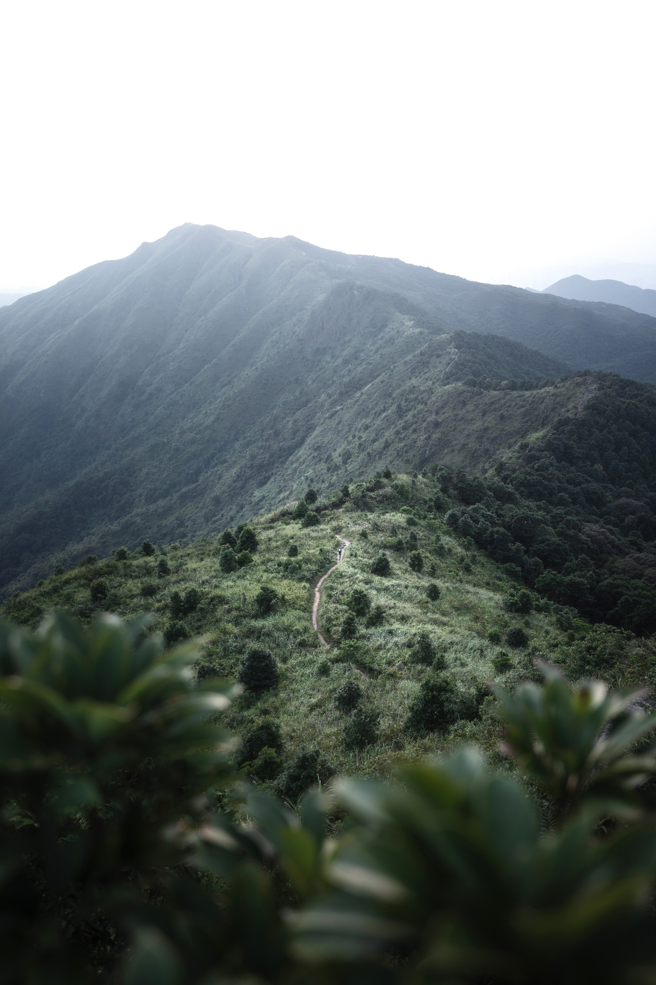 八仙嶺「連綿山脈」