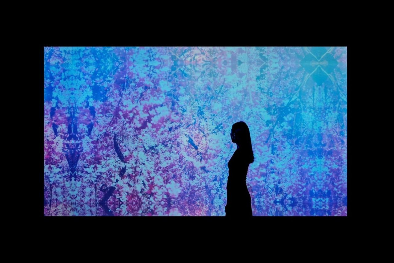 《蜷川實花展 with EiM：彼岸之光，此岸之影》突破了平面攝影的框架，將影像、裝置、光影及空間設計融為一體，呈現出蜷川實花強烈而獨特的色彩美學。