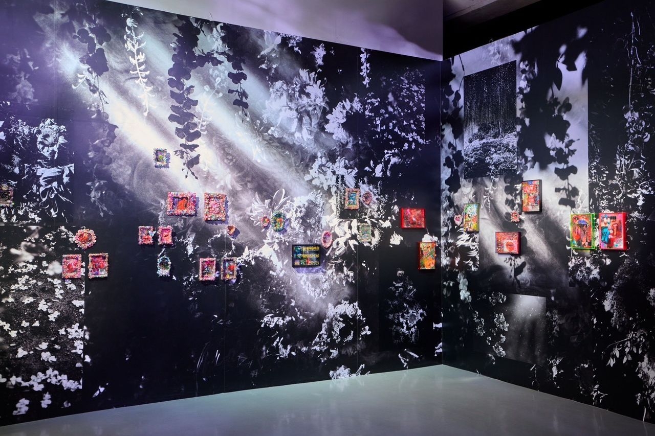 「解放與執著」展區展示蜷川實花的攝影作品，並結合精緻的複合媒材、立體裝飾藝術和空間設計，讓觀眾從不同角度欣賞蜷川美學帶來的執著與細膩。