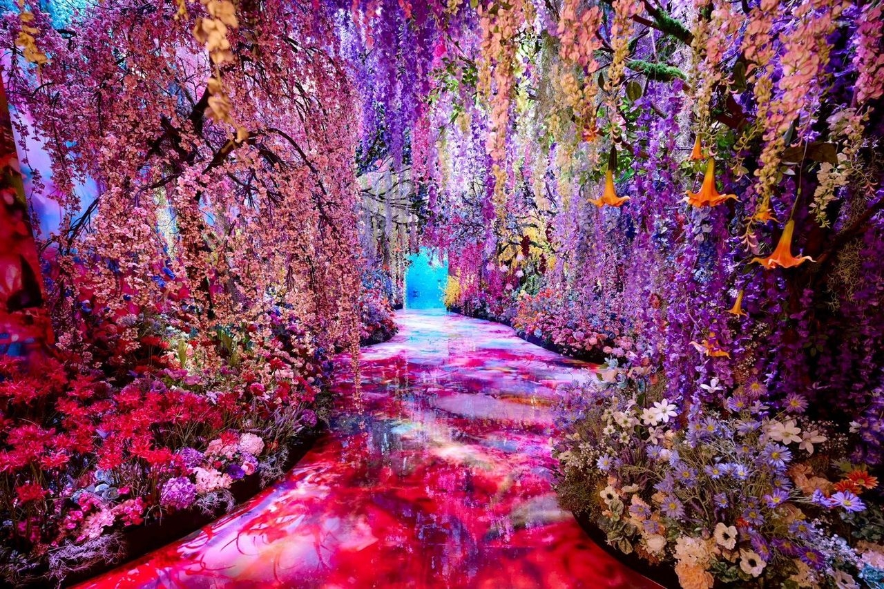 當我踏進京都展中人氣最高的「深淵彼岸的夢」展區，瞬間被盛開的花朵包圍著，濃烈絢爛的色彩在光影變化下各顯姿態，令人目不暇給。