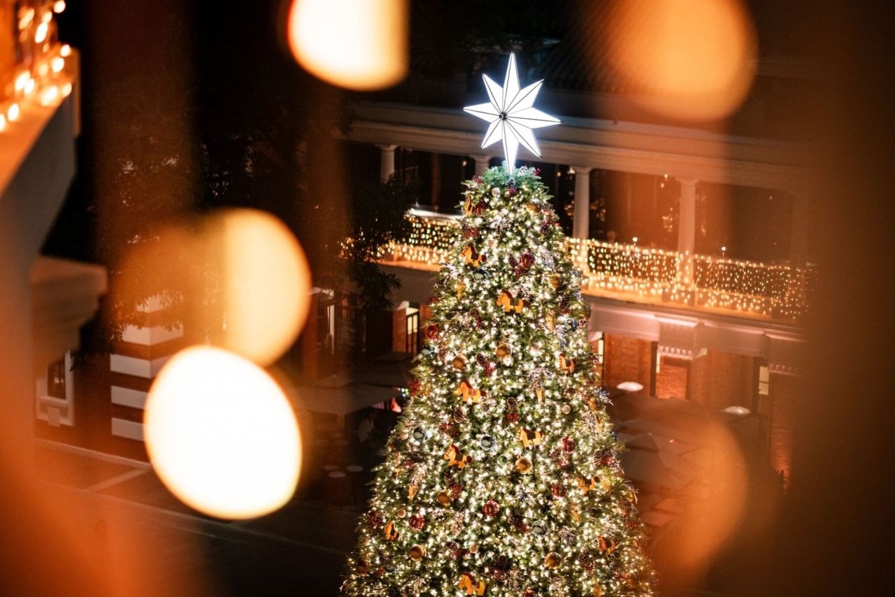 2025聖誕打卡地方