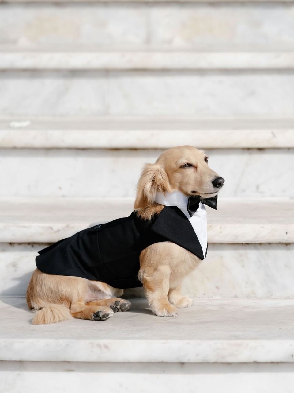 F1 法拉利男神Charles Leclerc 