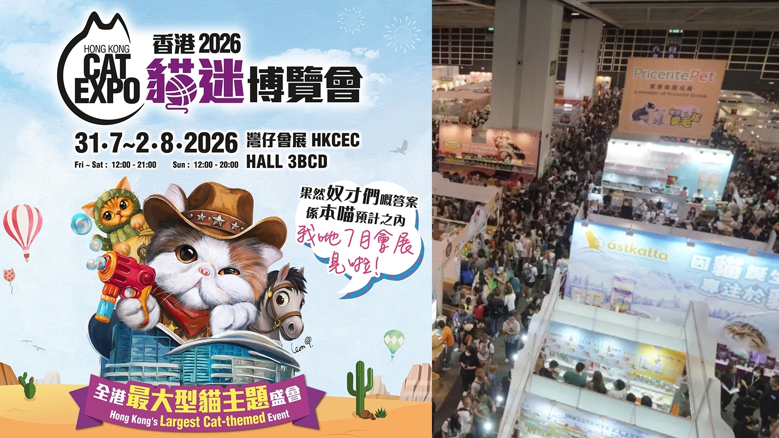 香港貓迷博覽,貓咪,免費門票