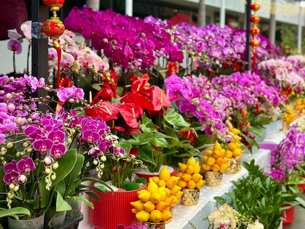 年宵市場2026,開放時間,攤位