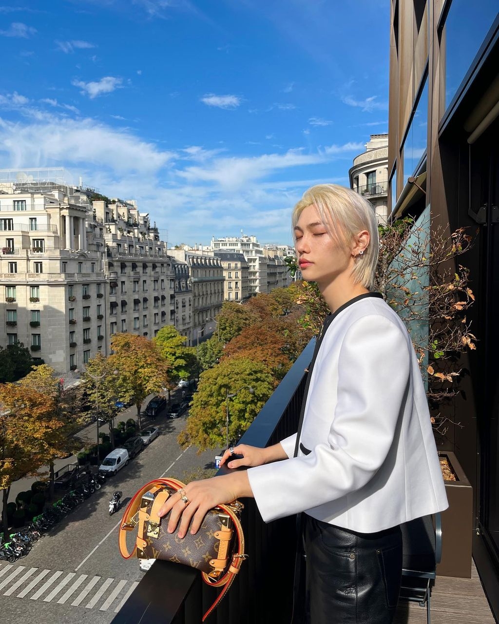Louis Vuitton Side Trunk手袋
