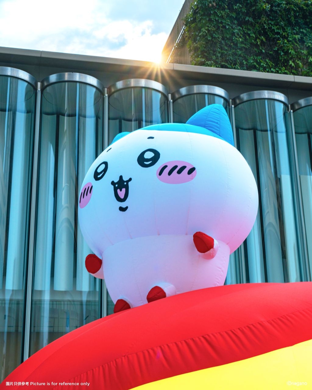 CHIIKAWA DAYS_The Giant Food Forest Sculpture Park” Outdoor Exhibition